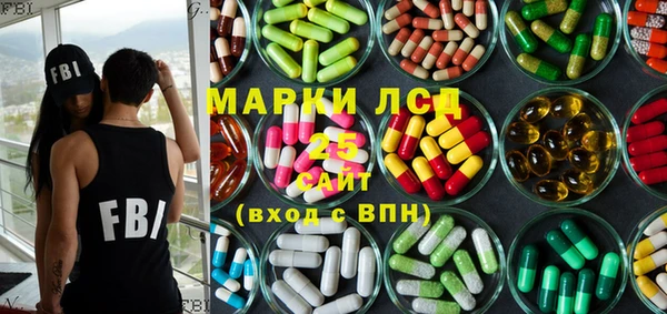 шишки Приозерск