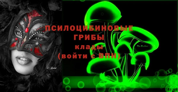 кокс Баксан