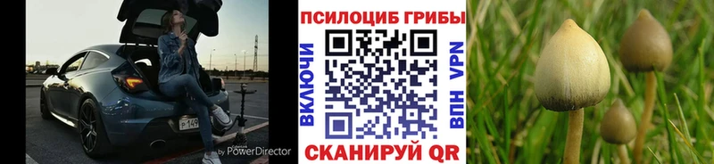 Псилоцибиновые грибы ЛСД  Кувандык 
